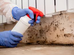 Best Commercial Mold Inspection  in Little Canada, MN